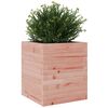 vidaXL Fioriera da Giardino 40x40x46 cm in Legno Massello di Douglas