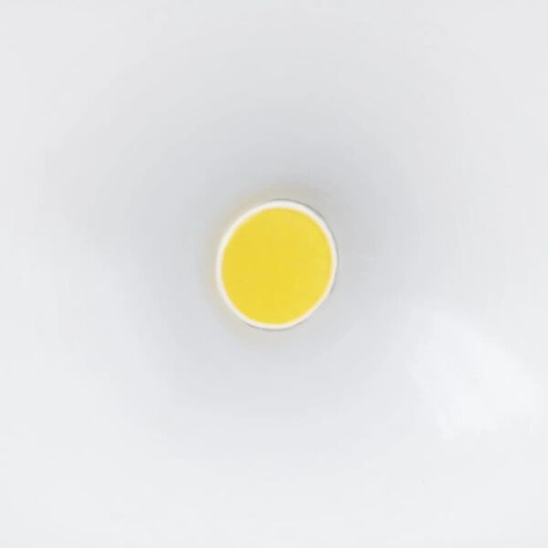 Steinel Faro da Esterni con Sensore LS 150 LED Bianco 052553