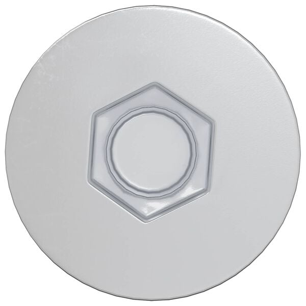 vidaXL Viti confermat 2 pcs Argento &Oslash;7 x 50 mm Metallo