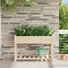 vidaXL Vaso da giardino con lo scaffale Beige 115 x 59 x 76,5 cm