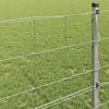 vidaXL Recinzione da campo Argento 25 x 0,8 m Acciaio zincato