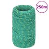 vidaXL Corda per barca Verde 2 mm 250 m in Polipropilene