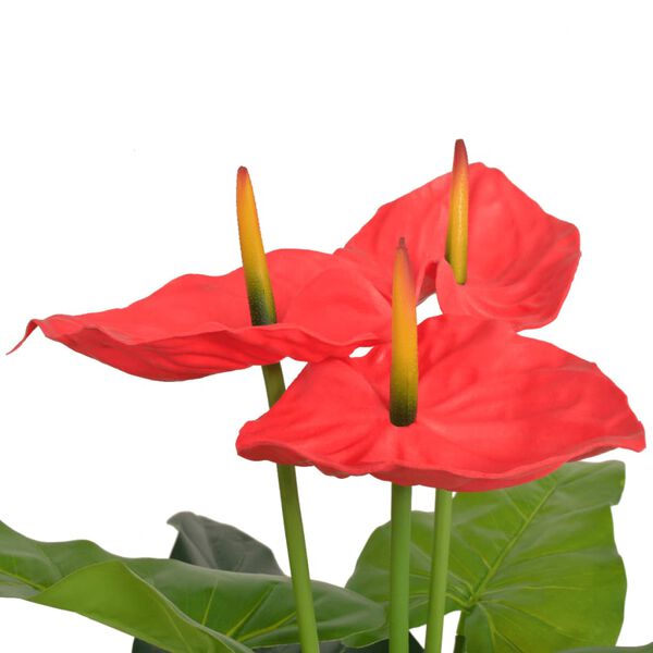 Visualizzazione immagine prodotto 2 di 2