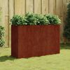 vidaXL Fioriera Rialzata da Giardino 120x40x80 cm in Acciaio Corten