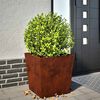 vidaXL Fioriere da Giardino 2 pz 50x50x50 cm in Acciaio Corten