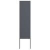 vidaXL Schermo per privacy in giardino Traforo Antracite 32 x 140 cm