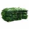 vidaXL Paravento da Balcone con Foglie Verdi 500x150 cm