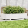 vidaXL Fioriera da Giardino Bianca 110x60x26, 5cm Massello di Pino