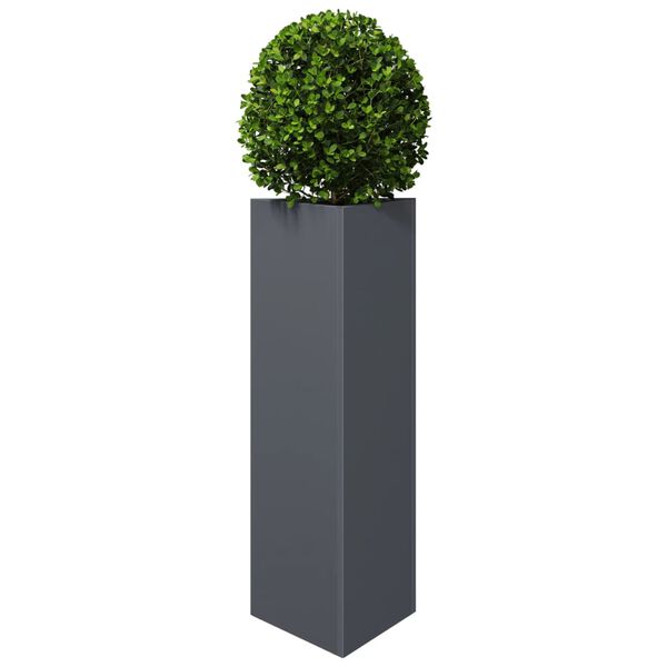 Visualizzazione immagine prodotto 4 di 12