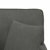 vidaXL Chaise Longe con Gonna Grigio scuro 91 x 157 x 91 cm