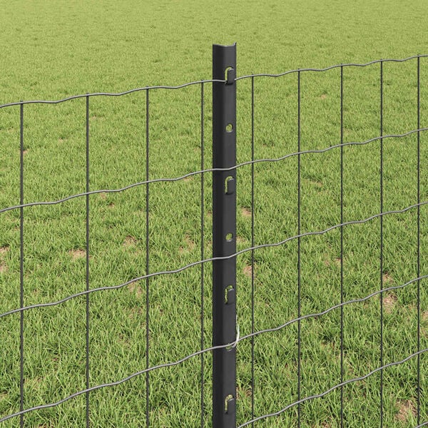 Visualizzazione immagine prodotto 4 di 13