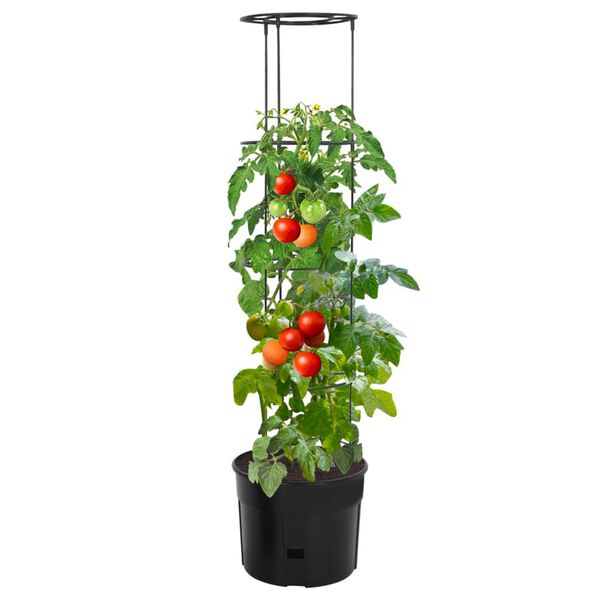 vidaXL Vaso a Torre per Pomodori Antracite &Oslash;39x150 cm Polipropilene