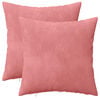 vidaXL Cuscino con cuscino HEERLEN 2 pz Rosa Velluto