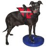 FitPAWS Disco per l'Allenamento dell'Equilibrio per Cani 36 cm Blu