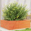 vidaXL Fioriera Giardino Marrone Cera 70x70x23 cm Legno Massello Pino