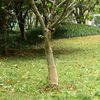 Immagine miniatura del prodotto 2 di 7