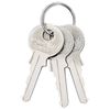 vidaXL U Lock con Chiavi 100 pcs Ottone Ferro