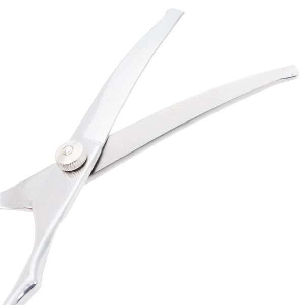 vidaXL Set Forbici da Toelettatura Cani 6 pz in Acciaio Inossidabile