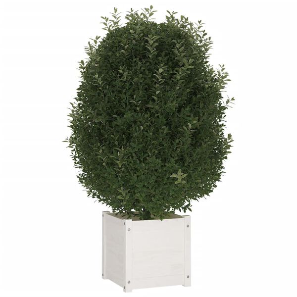 vidaXL Fioriera da Giardino Bianca 40x40x40 cm Legno Massello di Pino