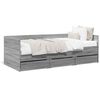 vidaXL Divano Letto con Cassetti senza Materasso 100x200 cm