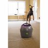 PetSafe Lanciapalline Automatico 9 m Grigio e Viola