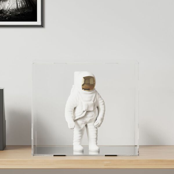 vidaXL Scatola espositiva trasparente 40x36x35 cm in acrilico