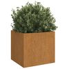 vidaXL Fioriere 2 pz 49x47x46 cm Acciaio Corten