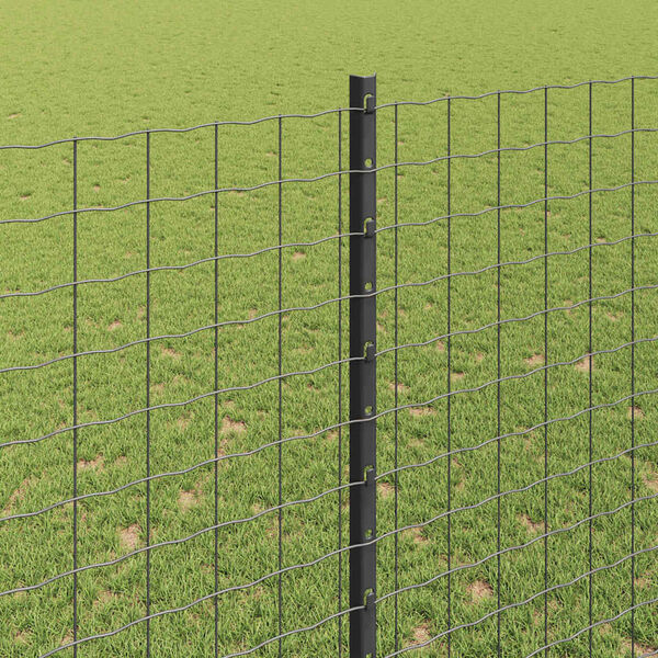 Visualizzazione immagine prodotto 4 di 8