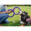 Ferplast Anelli per Cani Puller Standard Viola 2 pz