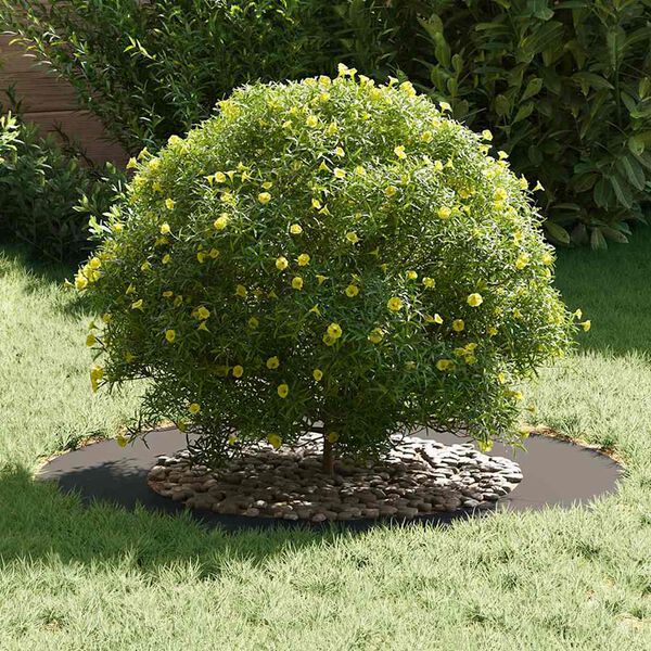 vidaXL adatto per Anelli d'Albero Piatto 5 pcs Nero &Oslash;50 / 80 cm Acciaio