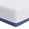 vidaXL Materasso Medio rigido 120 x 200 cm Bianco e Blu