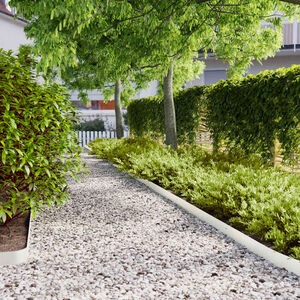 vidaXL Bordura per Prato 10 pz 10 x 103 cm Acciaio laminato a freddo