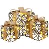 vidaXL Scatola regalo di Natale illuminata 3 pz Bianco caldo