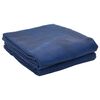 vidaXL Tappeto da Tenda Blu 400 &times; 350 cm Poliestere