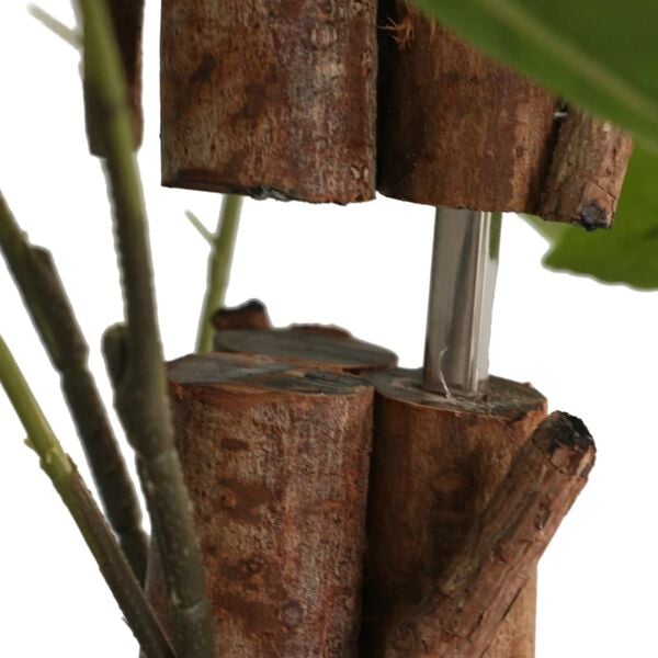 Visualizzazione immagine prodotto 2 di 5