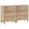vidaXL Credenze 2 pz 60x33x75 cm in Legno Massello di Mango