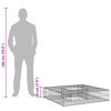 vidaXL Letto rialzato in gabbione Argento 100 x 100 x 20 cm