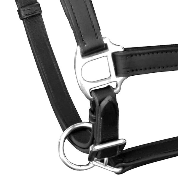 Visualizzazione immagine prodotto 2 di 3