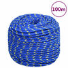 vidaXL Corda per barca Blu 10 mm 100 m in Polipropilene