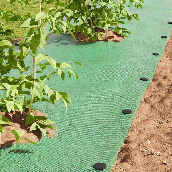 vidaXL Picchetti in plastica 500 pcs Nero &Oslash;3 x 11 cm Plastica