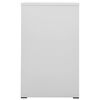 vidaXL Schedario Grigio Chiaro 46x62x102,5 cm in Acciaio
