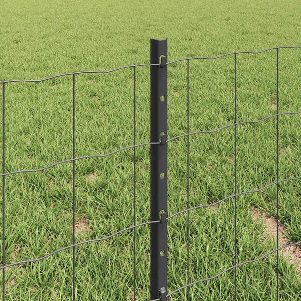 Visualizzazione immagine prodotto 4 di 13
