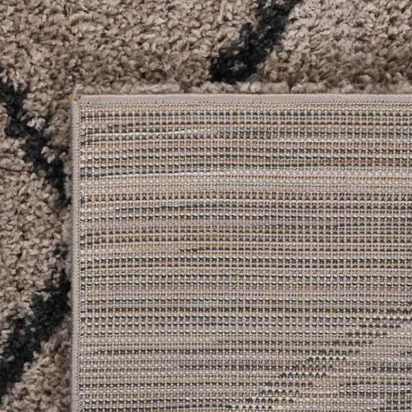 vidaXL Tappeto Shaggy a Pelo Alto Beige e Antracite 160x230 cm