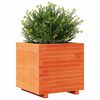 vidaXL Fioriera Giardino Marrone Cera 50x50x49,5cm Legno Massello Pino