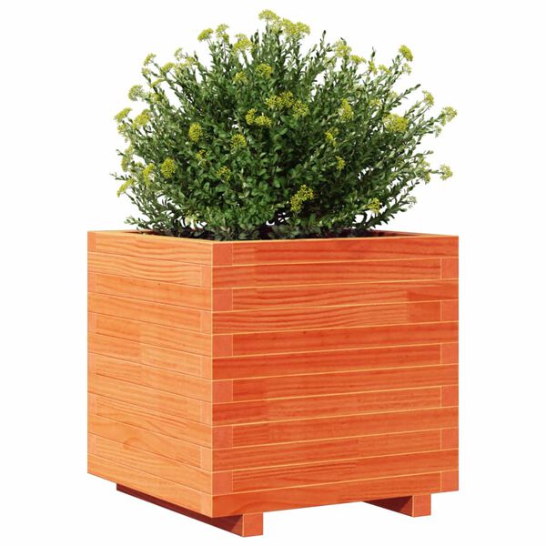 vidaXL Fioriera Giardino Marrone Cera 50x50x49,5cm Legno Massello Pino
