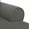 vidaXL Chaise Longe con Gonna Grigio scuro 91 x 157 x 91 cm