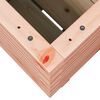 vidaXL Fioriera da Giardino 40x40x49,5 cm in Legno Massello di Douglas