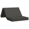 vidaXL Divano Letto Pieghevole 100 x 67 x 45 cm Grigio Scuro