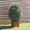 vidaXL Fioriera da Giardino Ambra 40x40x78 cm Legno Massello di Pino