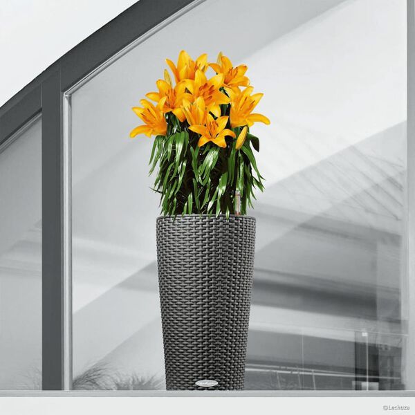 LECHUZA Fioriera CILINDRO Cottage 23 ALL-IN-ONE Diametro 23 cm Granito